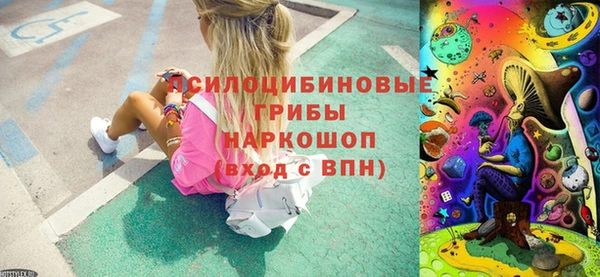 гашик Алзамай