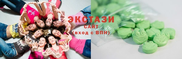 гашик Алексин