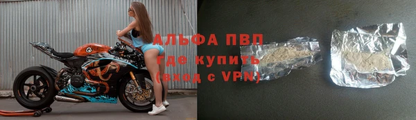 гашик Алексин
