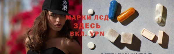 гашик Алексин