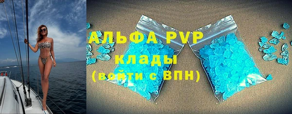 гашик Алексин