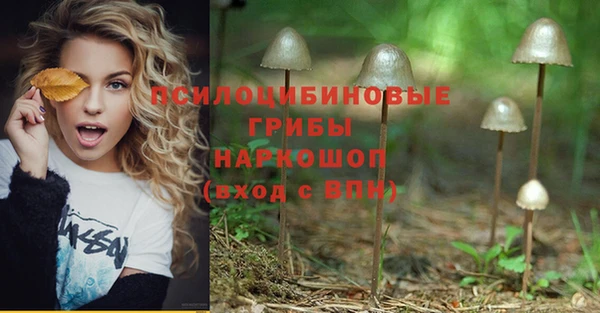MDMA Аркадак