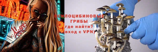 круглые Алексеевка