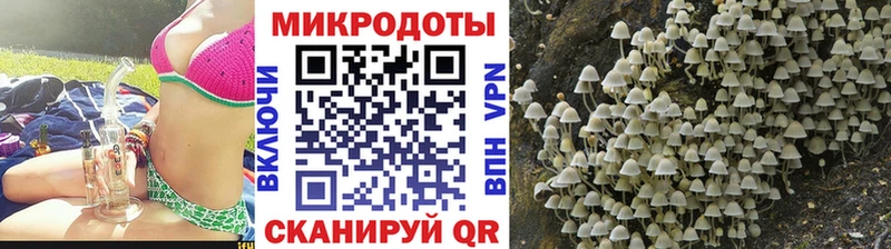 Псилоцибиновые грибы прущие грибы  сколько стоит  Салаир 