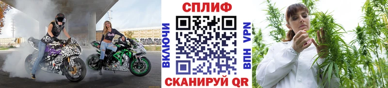 Шишки марихуана семена  Салаир 